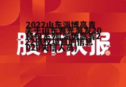 2022山东淄博高青债权系列(淄博高青2020失信人员)
