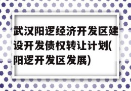 武汉阳逻经济开发区建设开发债权转让计划(阳逻开发区发展)