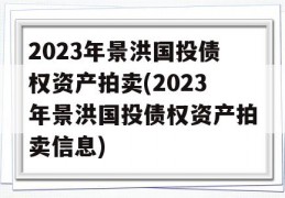 2023年景洪国投债权资产拍卖(2023年景洪国投债权资产拍卖信息)