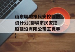 山东聊城市民安控股融资计划(聊城市民安控股建设有限公司王克宇)