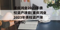 重庆鸿业2023年债权资产项目(重庆鸿业2023年债权资产项目招标)