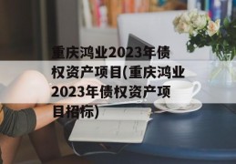 重庆鸿业2023年债权资产项目(重庆鸿业2023年债权资产项目招标)