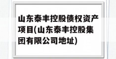 山东泰丰控股债权资产项目(山东泰丰控股集团有限公司地址)