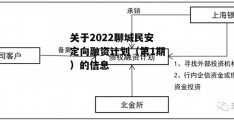 关于2022聊城民安定向融资计划（第1期）的信息