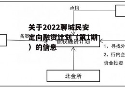 关于2022聊城民安定向融资计划（第1期）的信息