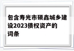 包含寿光市硕鑫城乡建设2023债权资产的词条