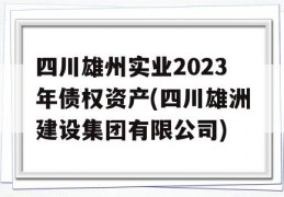 四川雄州实业2023年债权资产(四川雄洲建设集团有限公司)