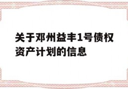 关于邓州益丰1号债权资产计划的信息