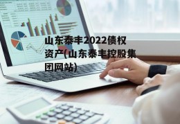 山东泰丰2022债权资产(山东泰丰控股集团网站)