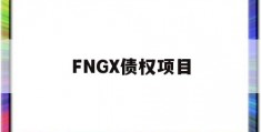 FNGX债权项目