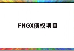 FNGX债权项目