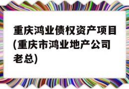 重庆鸿业债权资产项目(重庆市鸿业地产公司老总)