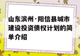 山东滨州·阳信县城市建设投资债权计划的简单介绍