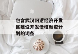 包含武汉阳逻经济开发区建设开发债权融资计划的词条