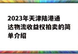 2023年天津陆港通达物流收益权拍卖的简单介绍