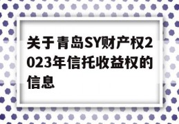 关于青岛SY财产权2023年信托收益权的信息