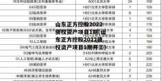 山东正方控股2022债权资产项目1期(山东正方控股2022债权资产项目1期开工)