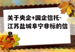 关于央企+国企信托-江苏盐城阜宁非标的信息