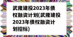 武隆建投2023年债权融资计划(武隆建投2023年债权融资计划招标)