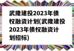 武隆建投2023年债权融资计划(武隆建投2023年债权融资计划招标)