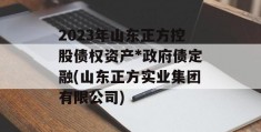 2023年山东正方控股债权资产*政府债定融(山东正方实业集团有限公司)