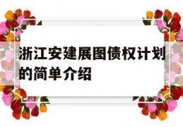 浙江安建展图债权计划的简单介绍