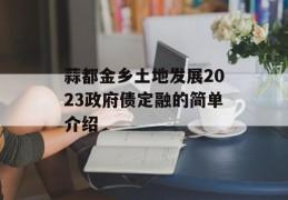 蒜都金乡土地发展2023政府债定融的简单介绍