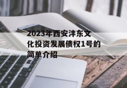 2023年西安沣东文化投资发展债权1号的简单介绍