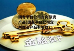 国有平台公司定向融资产品(国有平台公司定向融资产品有哪些)