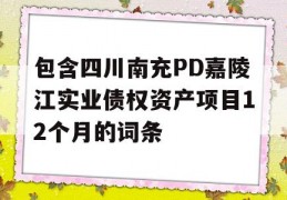 包含四川南充PD嘉陵江实业债权资产项目12个月的词条