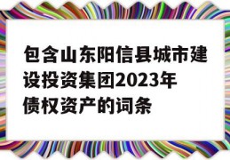 包含山东阳信县城市建设投资集团2023年债权资产的词条