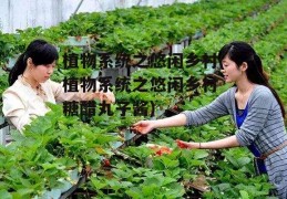 植物系统之悠闲乡村(植物系统之悠闲乡村 糖醋丸子酱)