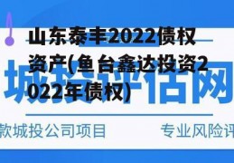 山东泰丰2022债权资产(鱼台鑫达投资2022年债权)