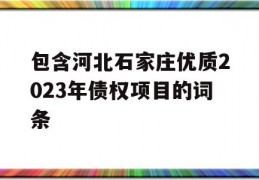 包含河北石家庄优质2023年债权项目的词条