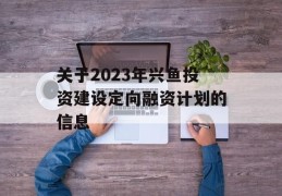 关于2023年兴鱼投资建设定向融资计划的信息