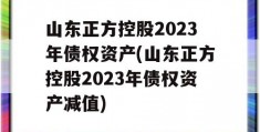 山东正方控股2023年债权资产(山东正方控股2023年债权资产减值)