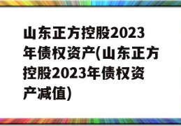 山东正方控股2023年债权资产(山东正方控股2023年债权资产减值)