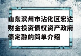 山东滨州市沾化区宏达财金投资债权资产政府债定融的简单介绍