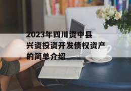 2023年四川资中县兴资投资开发债权资产的简单介绍