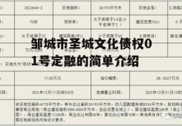 邹城市圣城文化债权01号定融的简单介绍