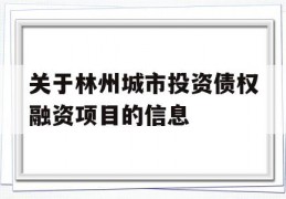 关于林州城市投资债权融资项目的信息