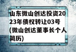 山东微山创达投资2023年债权转让03号(微山创达董事长个人简历)