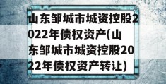 山东邹城市城资控股2022年债权资产(山东邹城市城资控股2022年债权资产转让)