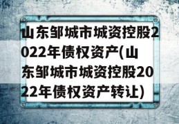 山东邹城市城资控股2022年债权资产(山东邹城市城资控股2022年债权资产转让)