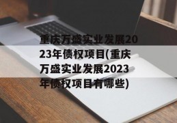 重庆万盛实业发展2023年债权项目(重庆万盛实业发展2023年债权项目有哪些)