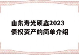 山东寿光硕鑫2023债权资产的简单介绍