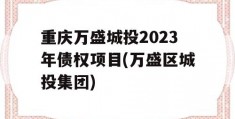 重庆万盛城投2023年债权项目(万盛区城投集团)