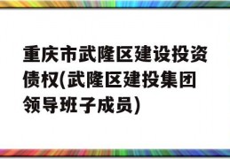 重庆市武隆区建设投资债权(武隆区建投集团领导班子成员)