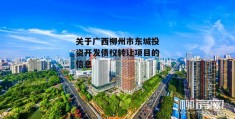 关于广西柳州市东城投资开发债权转让项目的信息