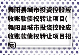 舞阳县城市投资控股应收账款债权转让项目(舞阳县城市投资控股应收账款债权转让项目招标)